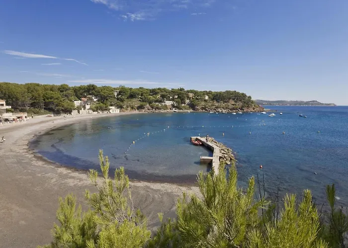 Les Bois Flottes . Plage De La Verne