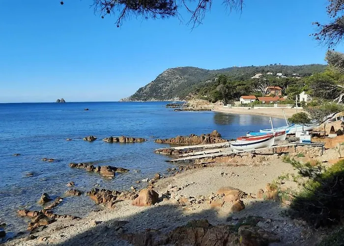 Les Bois Flottes . Plage De La Verne