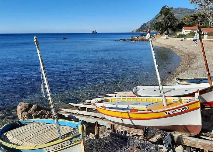 Les Bois Flottes . Plage De La Verne