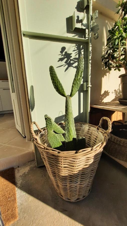 Séjour chez l'habitant Les Bois Flottes . De La Verne *