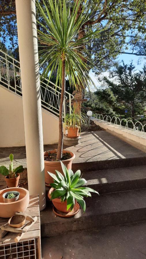 Homestay Les Bois Flottes . De La Verne *