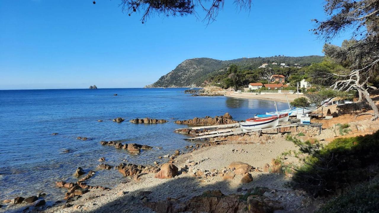 Homestay Les Bois Flottes . De La Verne